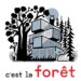 Affiche © Clément de Gaulejac — Et à la fin c'est la forêt qui gagne