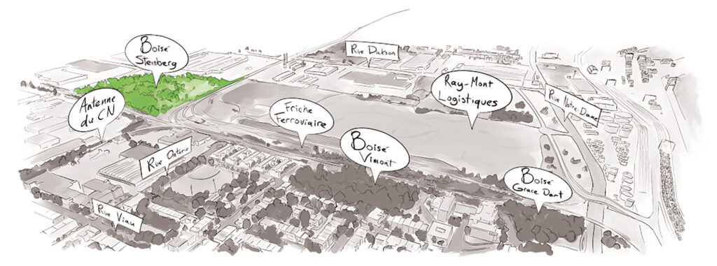 carte-BoiseSteinberg_Web
